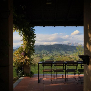 Castagna Amara, Montevecchia